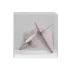 Zara Ramsay, Welt Waltz , 2022
