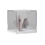 Zara Ramsay, Welt Waltz , 2022