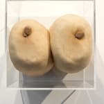 Sarah Lucas, ACTS LIKE A REAL TIT, 2016