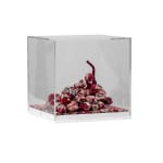 Debbie Lawson, Still Life (grapes), 2024