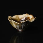 Shingu Sayaka 新宮さやか, No.57 White flower 花霙, 2024
