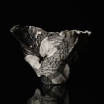 Shingu Sayaka 新宮さやか, No.57 White flower 花霙, 2024