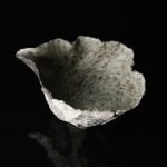 Shingu Sayaka 新宮さやか, No.57 White flower 花霙, 2024
