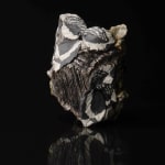 Shingu Sayaka 新宮さやか, No.57 White flower 花霙, 2024