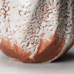 Hayashi Shotaro 林正太郎, Manyo flower vessel with impressions of a mountain scene, 2023