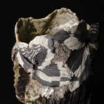 Shingu Sayaka 新宮さやか, No.57 White flower 花霙, 2024