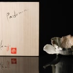 Thumbnail of additional image