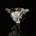 Shingu Sayaka 新宮さやか, No.57 White flower 花霙, 2024