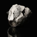 Shingu Sayaka 新宮さやか, No.57 White flower 花霙, 2024