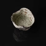 Shingu Sayaka 新宮さやか, No.57 White flower 花霙, 2024