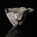 Shingu Sayaka 新宮さやか, No.57 White flower 花霙, 2024