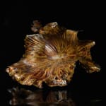 Shingu Sayaka 新宮さやか, No.50 Lotus leaf 枯蓮, 2023