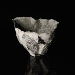 Shingu Sayaka 新宮さやか, No.57 White flower 花霙, 2024
