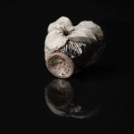 Shingu Sayaka 新宮さやか, No.57 White flower 花霙, 2024