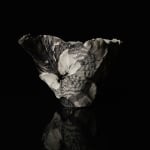 Shingu Sayaka 新宮さやか, No.57 White flower 花霙, 2024