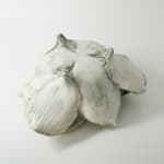 Shingu Sayaka 新宮さやか, No.15 Padoma, 2022