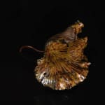 Shingu Sayaka 新宮さやか, No.50 Lotus leaf 枯蓮, 2023