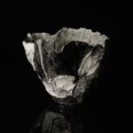 Shingu Sayaka 新宮さやか, No.57 White flower 花霙, 2024