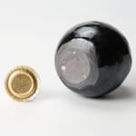 Kaneshige Michiaki 金重道明, Ibe tea caddy