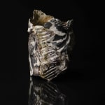 Shingu Sayaka 新宮さやか, No.57 White flower 花霙, 2024