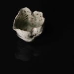 Shingu Sayaka 新宮さやか, No.57 White flower 花霙, 2024