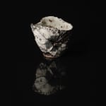 Shingu Sayaka 新宮さやか, No.57 White flower 花霙, 2024