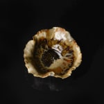 Shingu Sayaka 新宮さやか, No.57 White flower 花霙, 2024