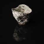 Shingu Sayaka 新宮さやか, No.57 White flower 花霙, 2024
