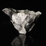 Shingu Sayaka 新宮さやか, No.57 White flower 花霙, 2024