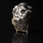 Shingu Sayaka 新宮さやか, No.57 White flower 花霙, 2024