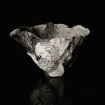 Shingu Sayaka 新宮さやか, No.57 White flower 花霙, 2024