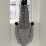 Mark Jenkins, Embed Sitter, 2019