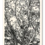 Faith XLVII, A Study of Light and Shadow VII, 2022