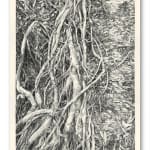 Faith XLVII, A Study of Light and Shadow VII, 2022