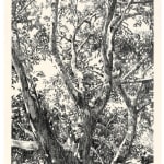 Faith XLVII, A Study of Light and Shadow VII, 2022
