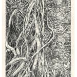 Faith XLVII, A Study of Light and Shadow VII, 2022