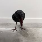 Bita Fayyazi, Untitled, 2024