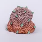 Linda Nguyen Lopez, Orange/Pink Bend Ombre Dust Furry, 2019