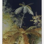 David Hartt, The Histories (Crépuscule), 2021