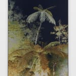 David Hartt, The Histories (Crépuscule), 2021