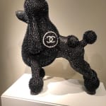 Herb Williams, White Chanel Poodle, 2018