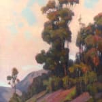 Eucalyptus Hill