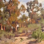 Eucalyptus Grove