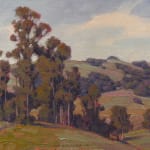 Eucalyptus & Oaks