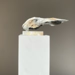 Nichola Theakston