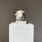 Nichola Theakston