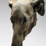 Nichola Theakston, Sacred Langur 2