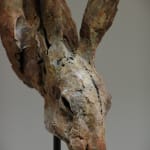 Nichola Theakston - Hare Head Study 3