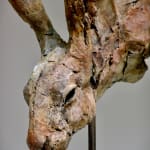 Nichola Theakston - Hare Head Study 3