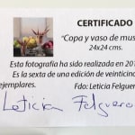Leticia Felgueroso - Copa y Vaso de Musgo